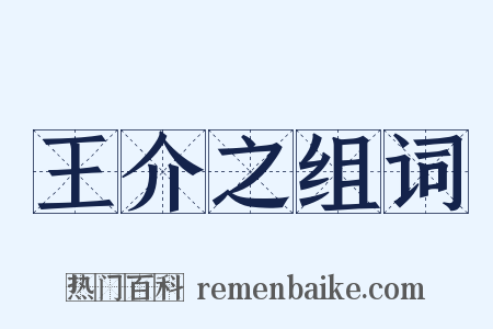 王介之组词是什么意思的图片